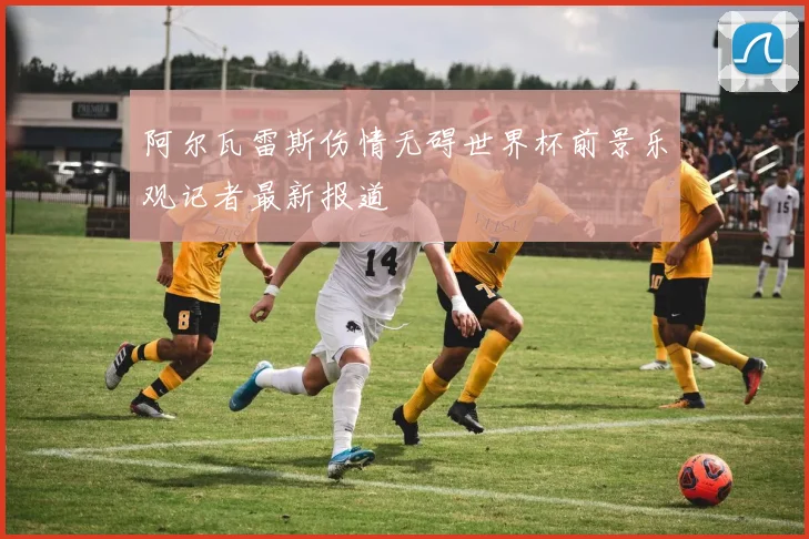 阿尔瓦雷斯伤情无碍世界杯前景乐观记者最新报道
